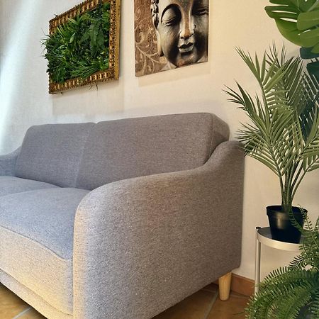 Casa Sao Sebastiao Casas Bem Haja Guest House Sao Miguel de Acha ภายนอก รูปภาพ